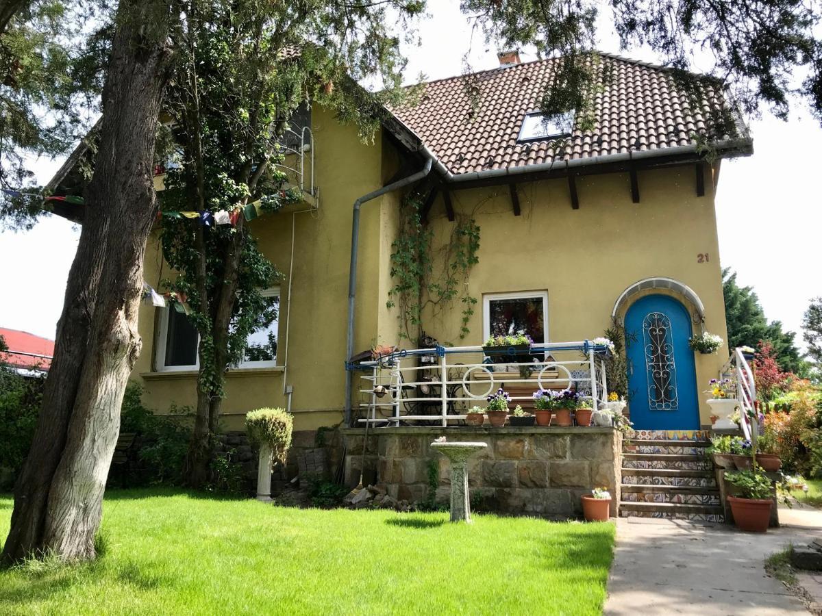 Lovely Nest Near Budapest 多瑙凯西 外观 照片
